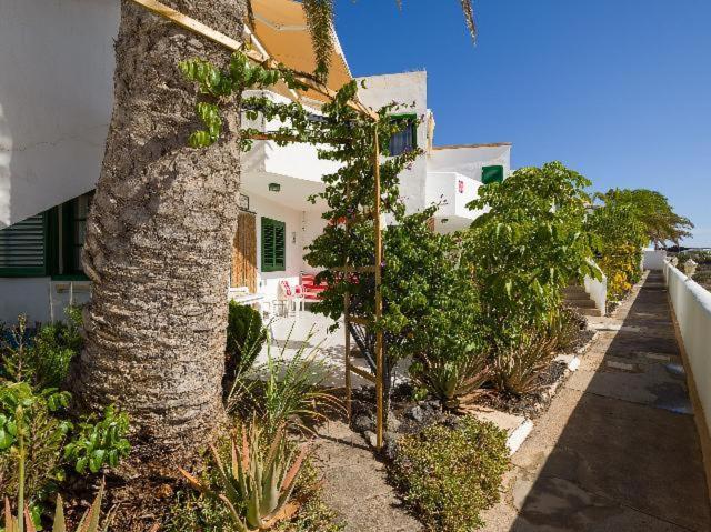 Apartamento Nire Lula En La Misma Playa Cotillo Εξωτερικό φωτογραφία